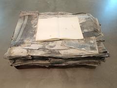 20 Jahre Einsamkeit artwork by Anselm Kiefer displayed at Kunsthalle Mannheim