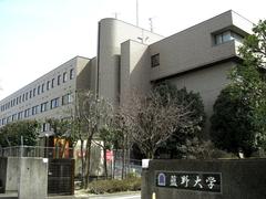 Aino University