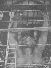 Warsaw Nike statue under restoration work