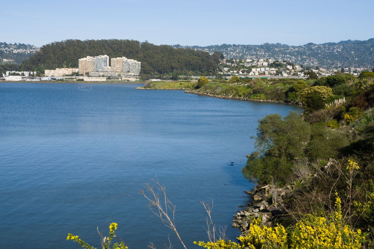 Panoramic view of Albany, California from Albany Bulb with Albany Hill on the left