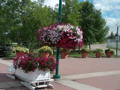 Man named Bob holding bouquet of flowers at Olympia-Zentrum Calgary