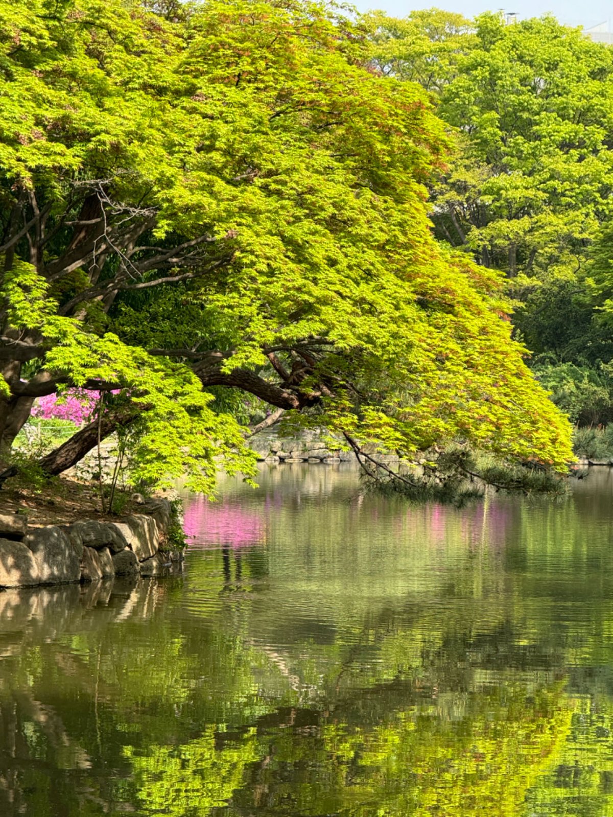Scenic view of Changdeokgung Huwon secret garden with traditional Korean architecture and serene ponds