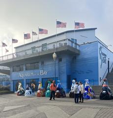 Aquarium of the Bay underwater tunnel with visitors observing marine life