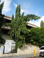 Asian Social Institute building at 1518 Leon Guinto Street in Malate, Manila, on the corner of Pedro Gil Street