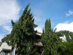Asian Social Institute building at 1518 Leon Guinto Street, Malate, Manila corner Pedro Gil Street
