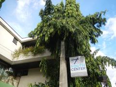 Asian Social Institute building at 1518 Leon Guinto Street corner Pedro Gil Street in Malate, Manila