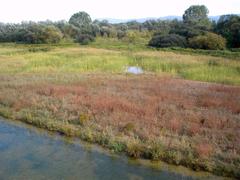 Centro Ataria wetland interpretation center with Salburua marshes in Vitoria-Gasteiz