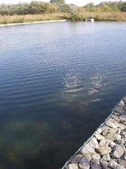 Centro Ataria Interpretation Center and Salburua Wetlands in Vitoria-Gasteiz