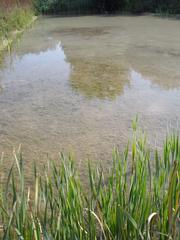 Centro Ataria Wetlands Interpretation Center in Salburua, Vitoria-Gasteiz with surrounding natural wetlands and water pools