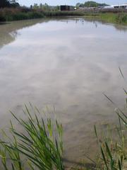 Centro Ataria Interpretation Center and Salburua Wetlands in Vitoria-Gasteiz