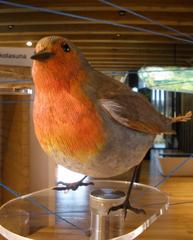 Centro Ataria wetland interpretation center and Salburua ponds in Vitoria-Gasteiz