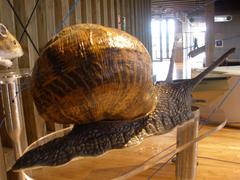 Centro Ataria Wetlands Interpretation Center in Salburua, Vitoria-Gasteiz
