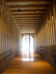 Centro Ataria de Interpretación de las Balsas de Salburúa visitor center in Vitoria-Gasteiz with modern architecture surrounded by green wetlands