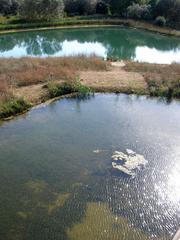 Centro Ataria and Salburua Wetlands in Vitoria-Gasteiz