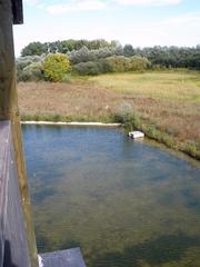 Centro Ataria de Interpretación de las Balsas de Salburúa in Vitoria-Gasteiz with green wetlands and reflective water bodies