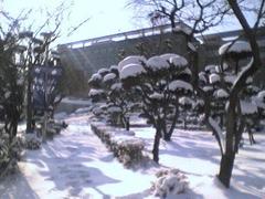|
  Sookmyung Women'S University
