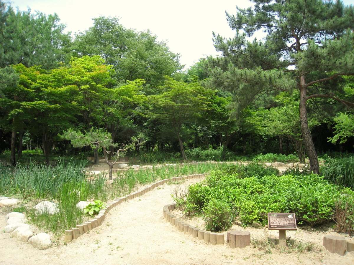 Botanical garden in Changgyeonggung Palace, Seoul, South Korea