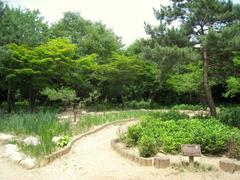 Changgyeonggung