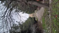 Park of Azerbaijan International University with green trees and clear sky