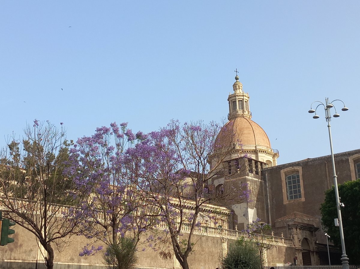 View of ex Monastero dei Benedettini in Catania with historical architecture under blue sky