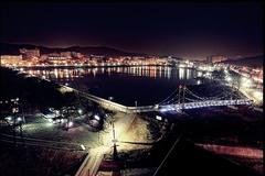 Dankook University Anseoho Night view in Cheonan with lit landscape
