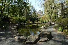 Bio Pond with greenery and water lilies at the University of Pennsylvania campus