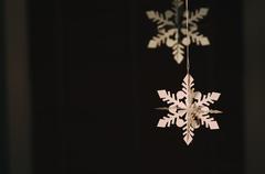 Paper snowflakes decoration in Brookline, United States