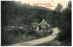 Historic photograph of Cossebaude Oberwartha Waldfrieden in 1910
