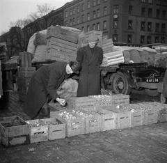 Two men, an unknown man and Mr. Dirchsen, standing next to auction crates filled with onions and in the background trucks loaded with Bintje potatoes on a farm in Store Magleby, Denmark in March 1954