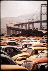 Volkswagen cars parked on a pier in Nara