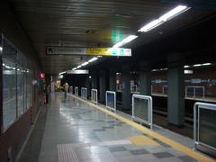 Sungshin Women's University subway station platform with yellow safety lines and green pillars