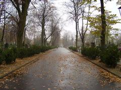 Bródno Cemetery