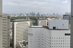 View south from 29th floor of Shinjuku NS Building in Nishi-Shinjuku, Tokyo; including Shinjuku Washington Hotel, Bunka Gakuen University, Meiji Shrine greenery, and Shibuya buildings in distance