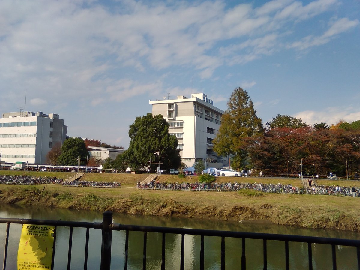 Bunkyo University Koshigaya Campus viewed across Motoarakawa River with blurred sign on the left-bottom