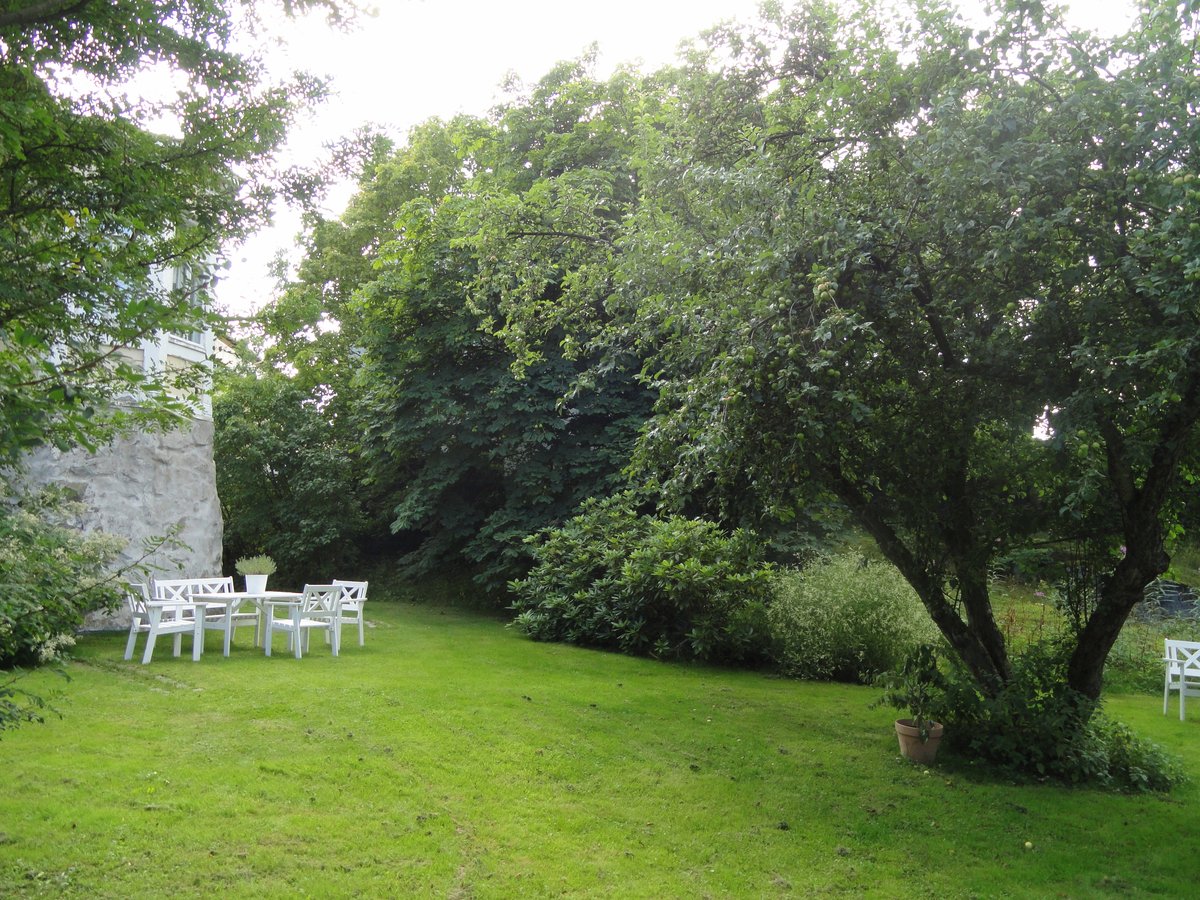 Back garden of Cygnaeus Gallery with lush greenery and pathway in Helsinki Finland
