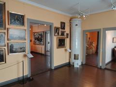 Cygnaeus Gallery