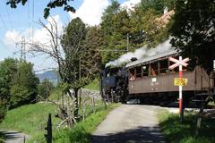 Historic steam locomotive HG 3/4 3 pulling passenger train on Blonay–Chamby Museum Railway at field crossing near Chamby-Musée in summer 2010