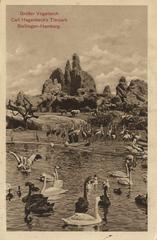 Carl Hagenbeck's Tierpark in Hamburg Großer Vogelteich with birds and water in 1913
