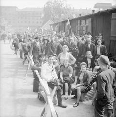 Displaced persons and refugees arranged in groups for processing at a camp in Hamburg, Germany after WWII