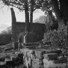 Nydala monastery ruin and Bondkyrkan church viewed from the north