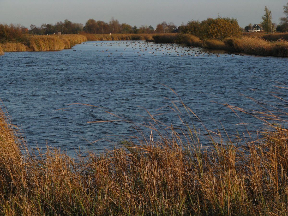 Scenic landscape of Stootersplas lake surrounded by greenery in Het Twiske nature reserve, Oostzaan