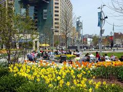 Daffodils blooming in downtown Detroit on a warm spring day with outdoor diners