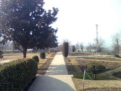 Cheshme Shahi Garden in Srinagar with traditional Mughal architecture and lush greenery