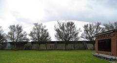 Chiles Center