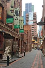 Museum Of Chinese Australian History