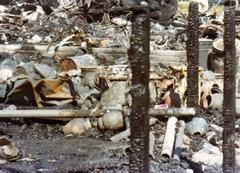 Wreckage of PSA Flight 182 crash site on September 25, 1978