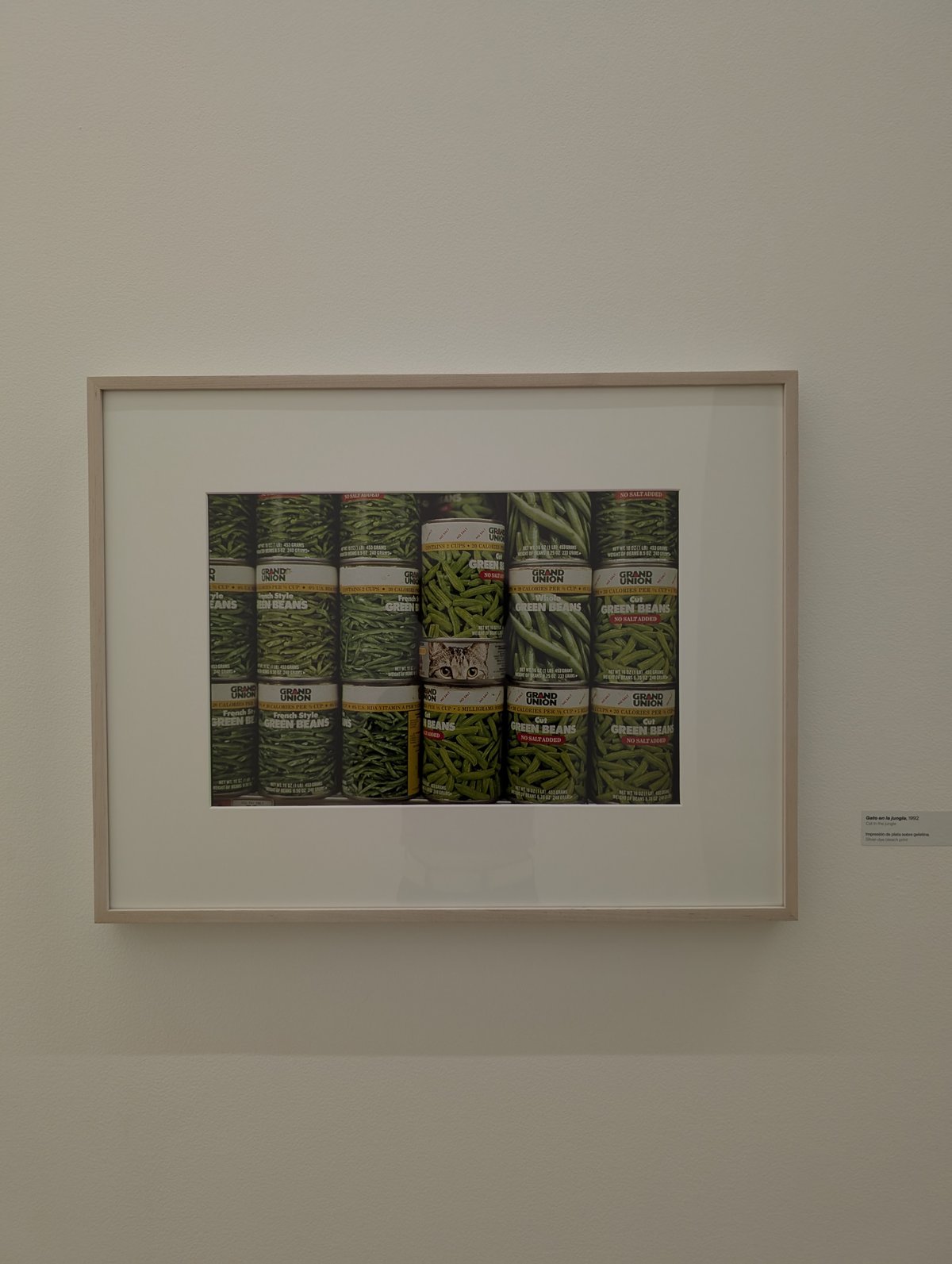 Silver gelatin print of a cat in the jungle by Gabriel Orozco