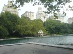 Skyline of buildings overlooking Central Park in New York City