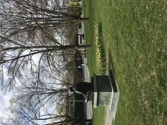 Parc de l'Ariana in Geneva with blooming spring trees