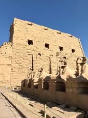 Avenue of Sphinxes leading to Karnak Temple in Luxor, Egypt under blue sky